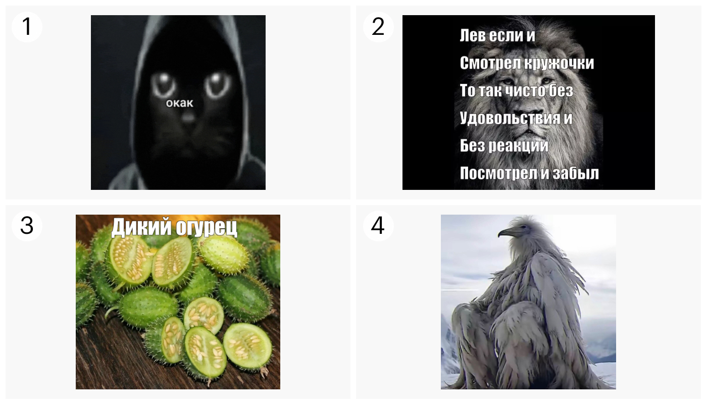 Изображение вопроса