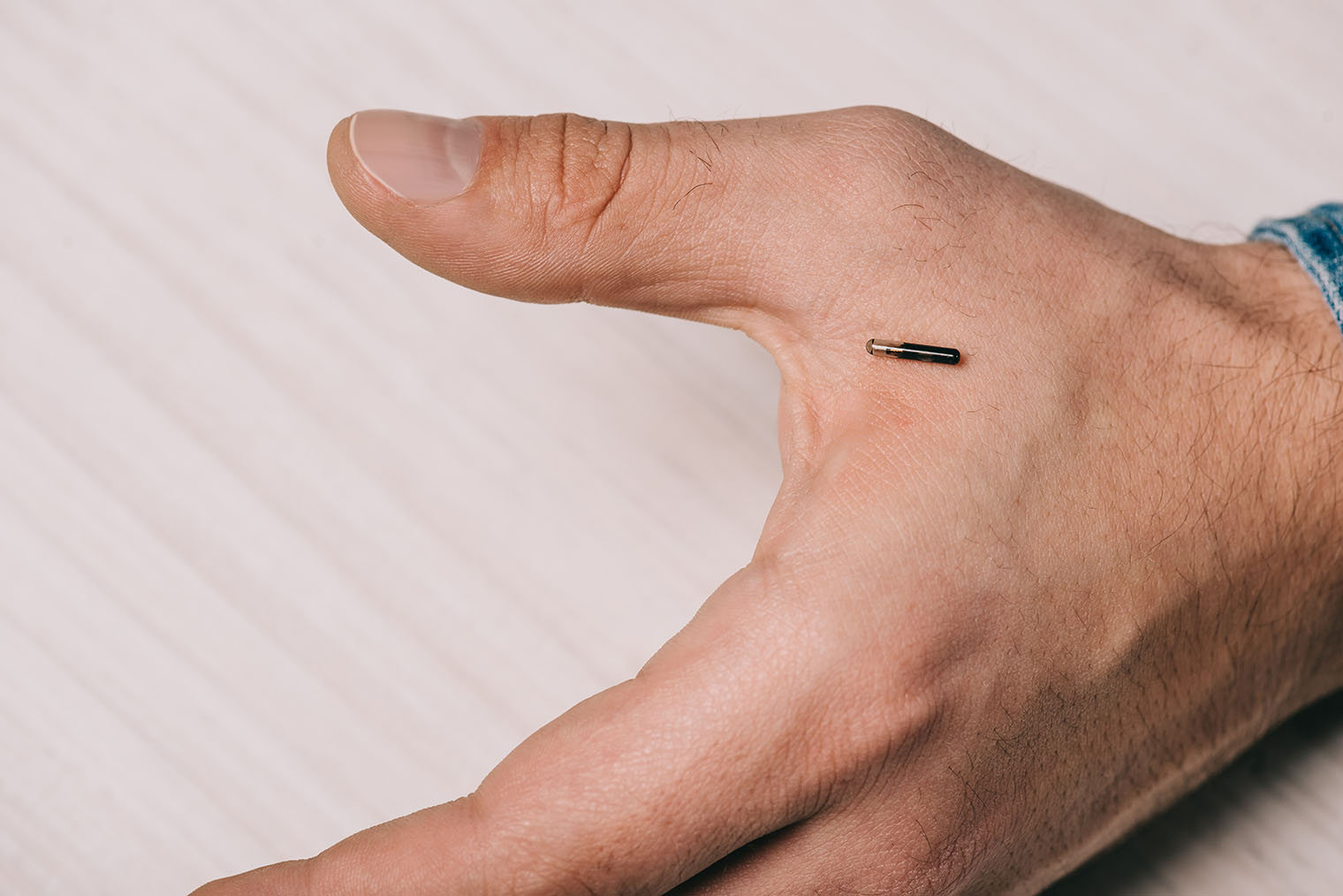 Стандартный размер микрочипа — 2 × 12 мм, но бывают модели еще меньше. Животному они никак не мешают. Источник: LightField Studios / Shutterstock / FOTODOM