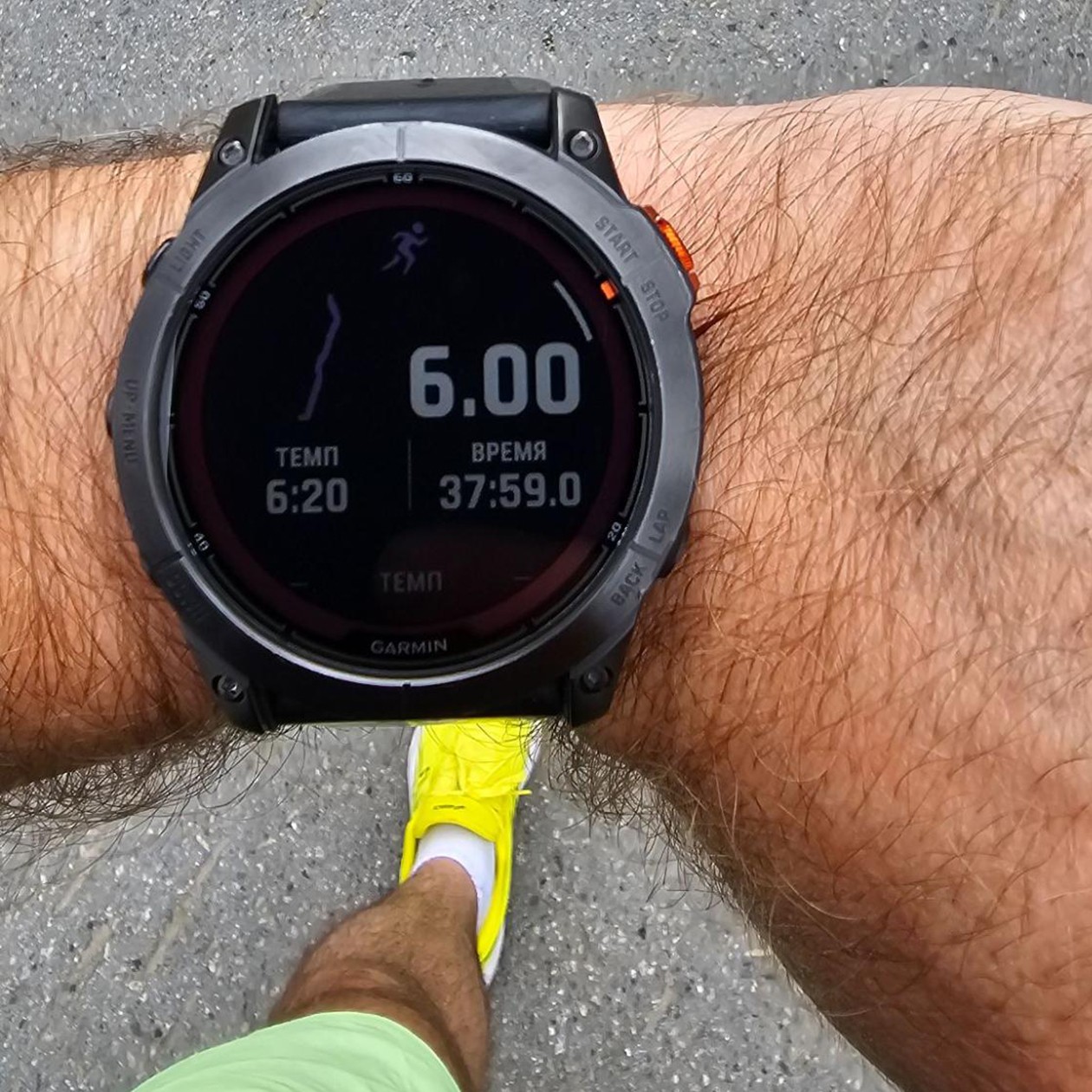 Сегодняшняя пробежка