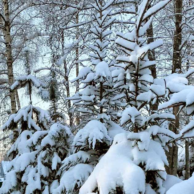 Зимой за городом красиво