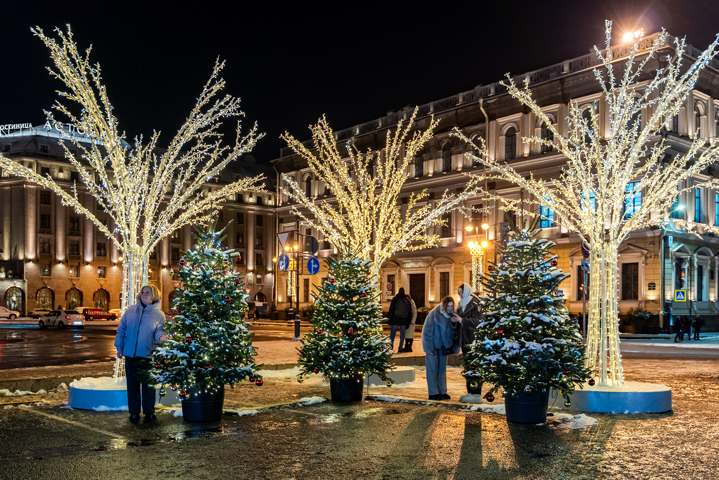 В саду установили елки, арку и несколько огромных цветков