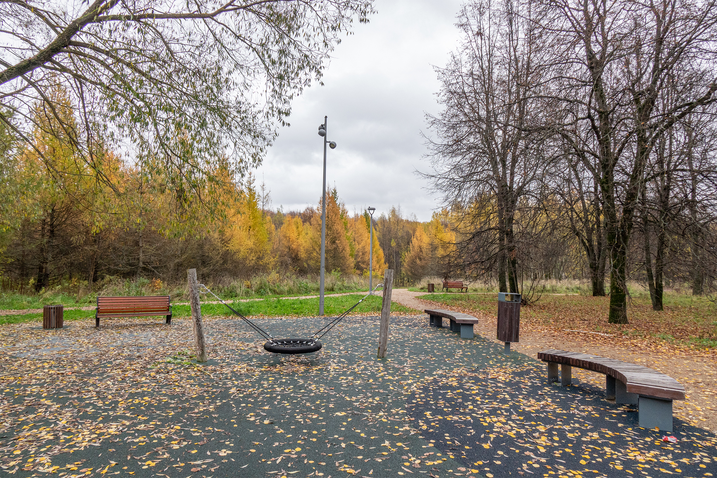 Благоустроенная часть Битцевского леса