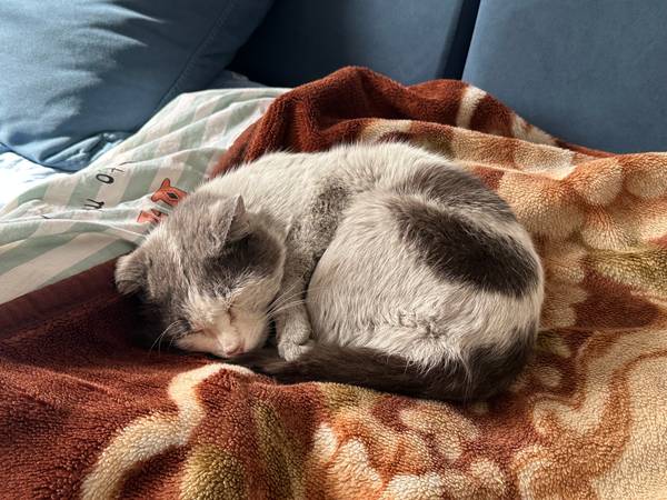 Саян Истаев 