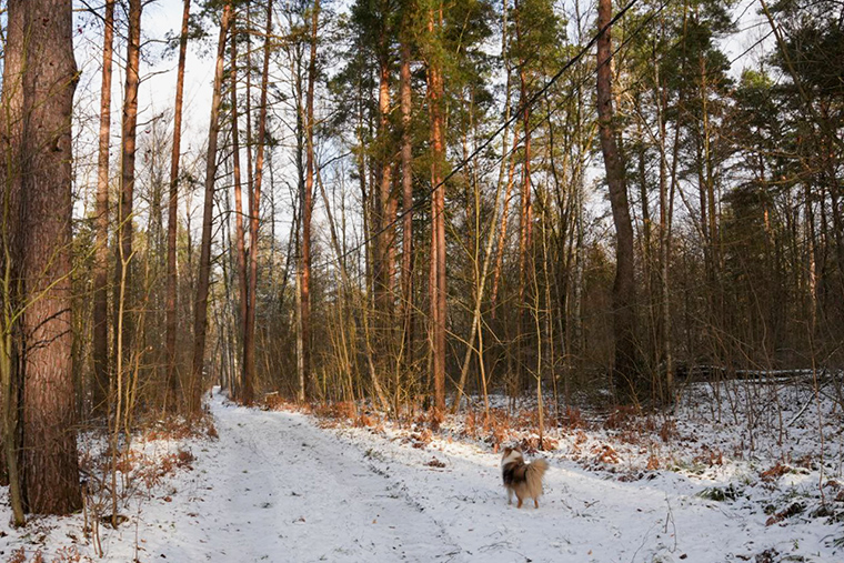 Гуляем перед отъездом в город