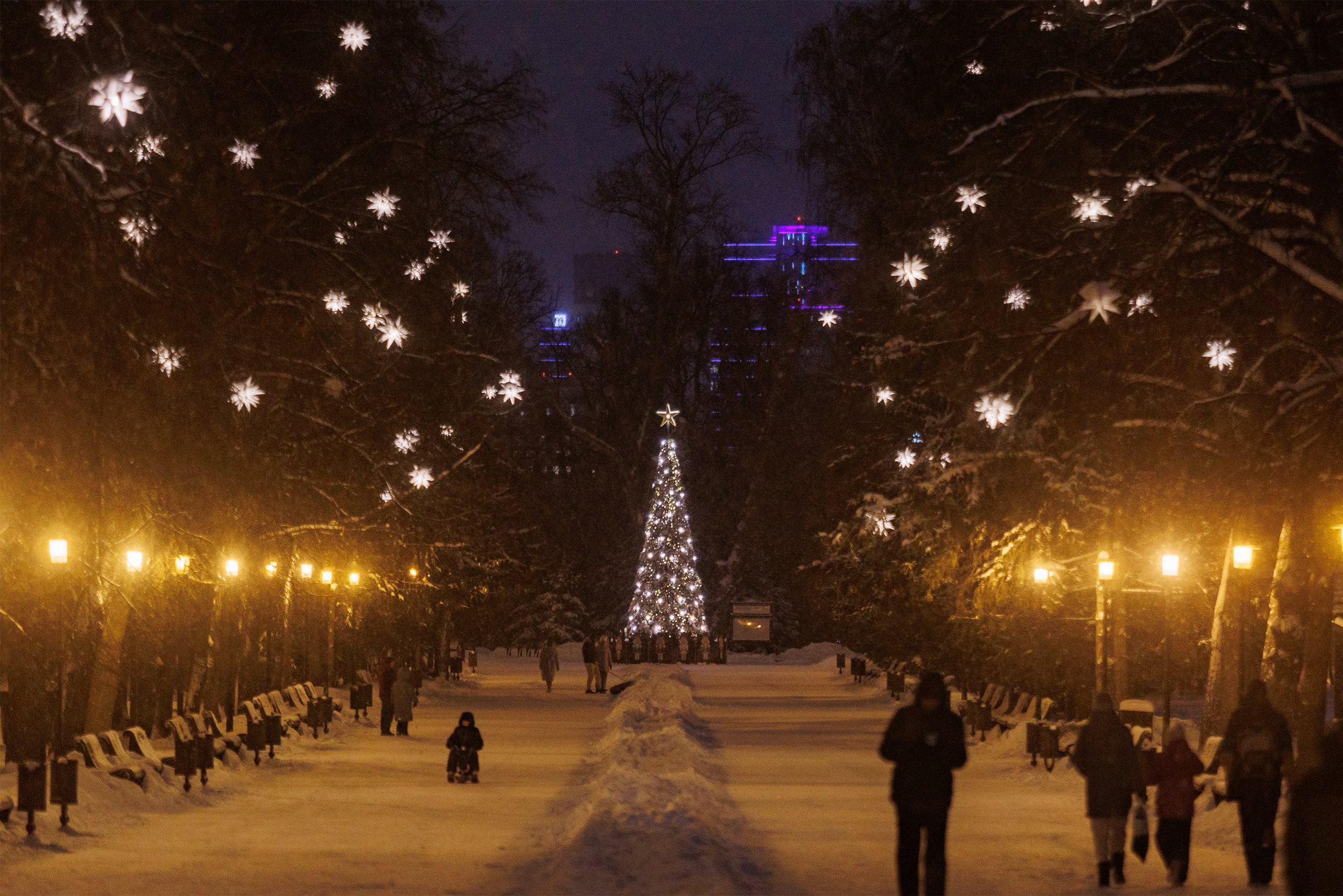 В конце аллеи поставили елку