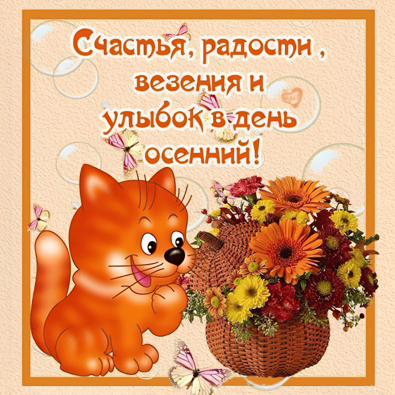Кот с букетом