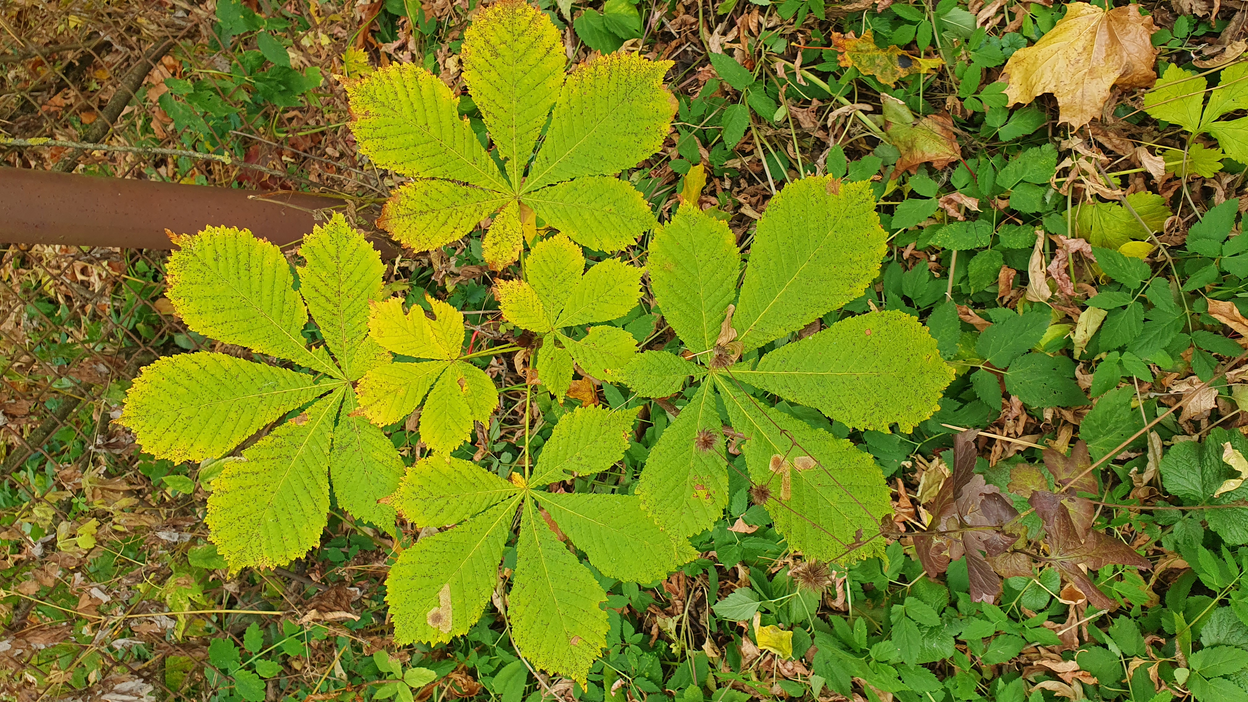 Фотографии года