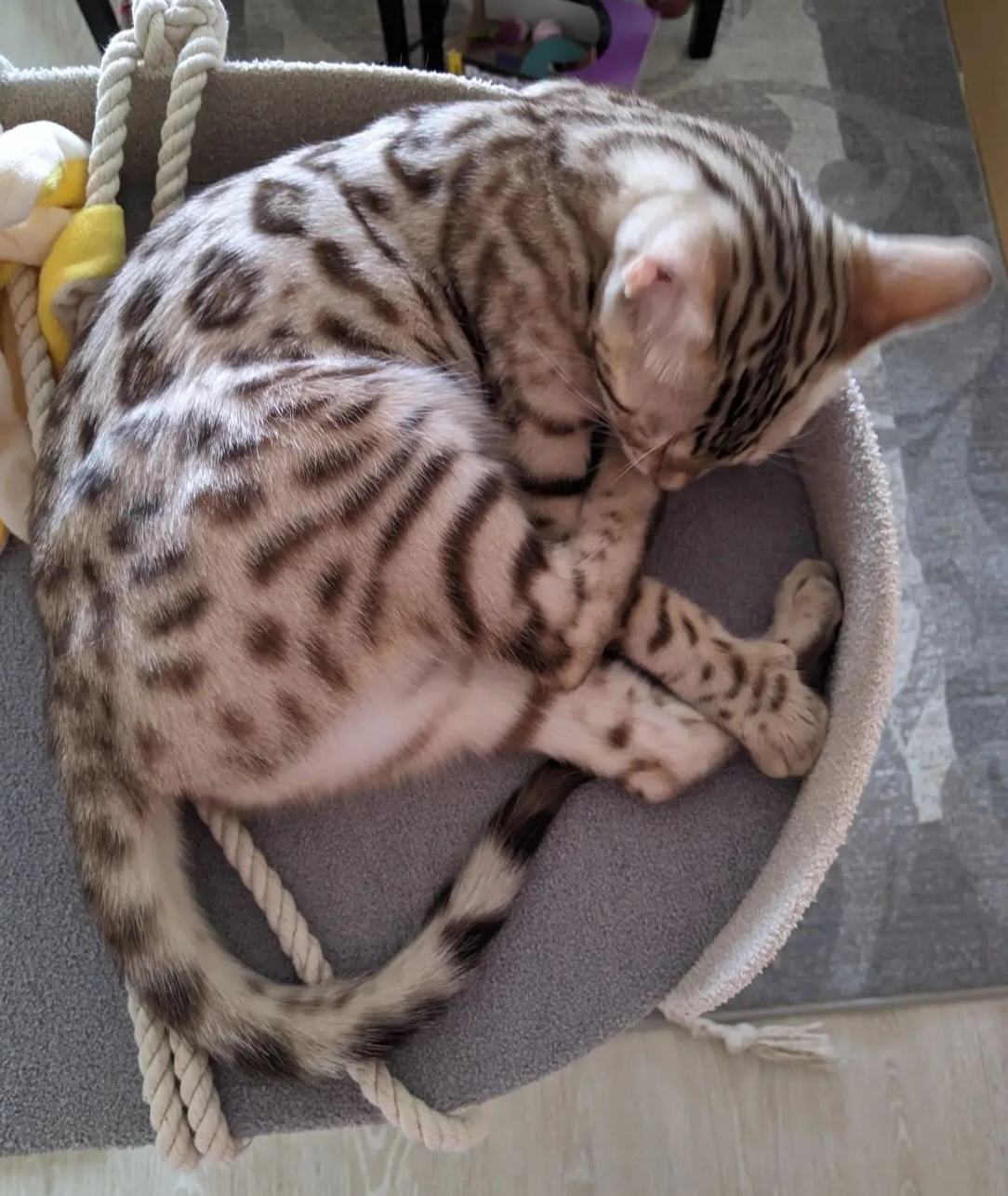 Делаю педикюр!