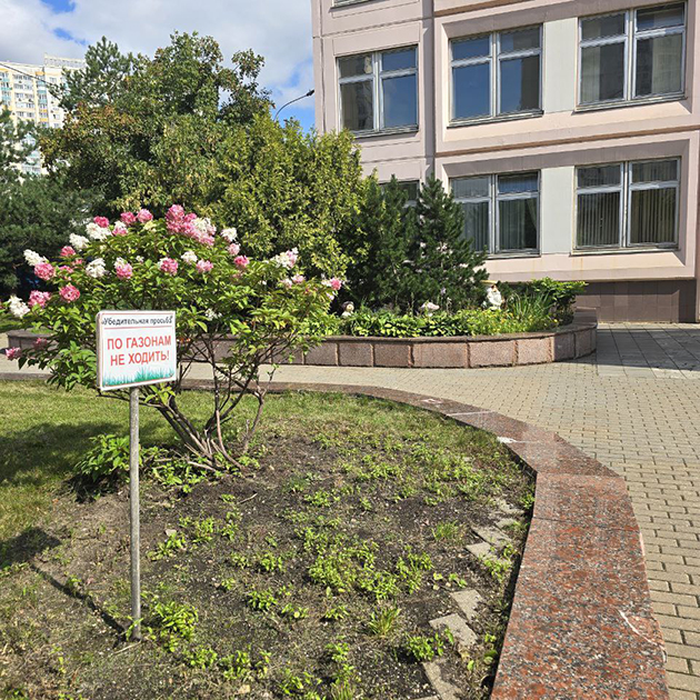 Школьный двор