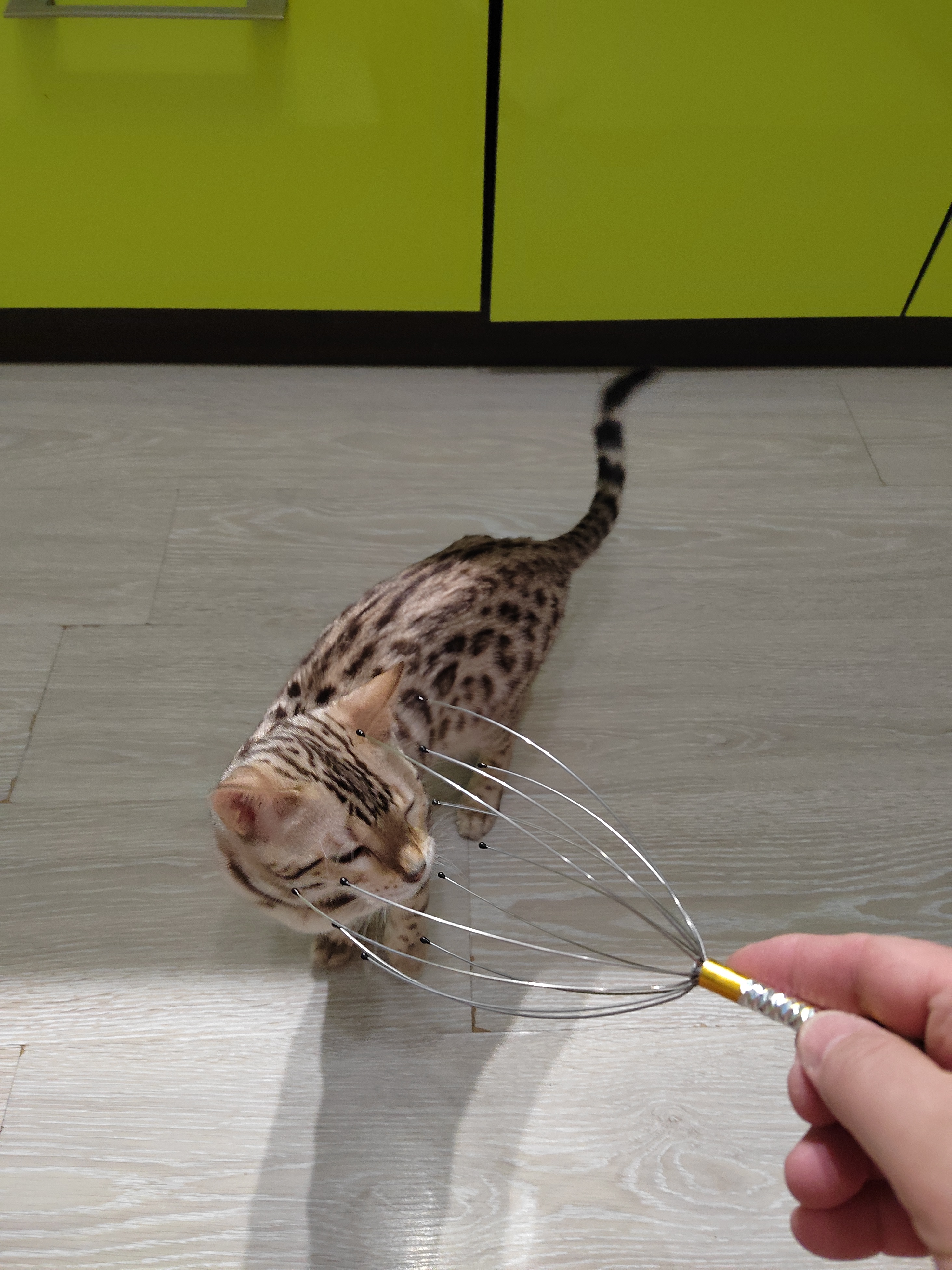 А что там в центре?