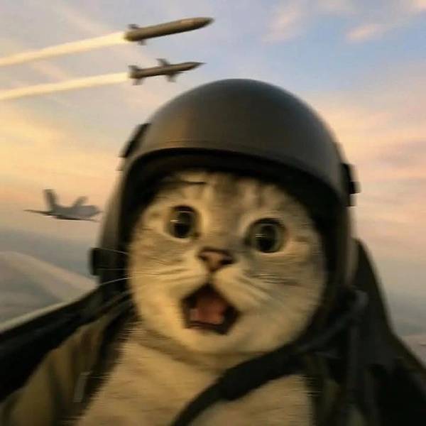 ПОЖИЛАЯ РАКЕТА 