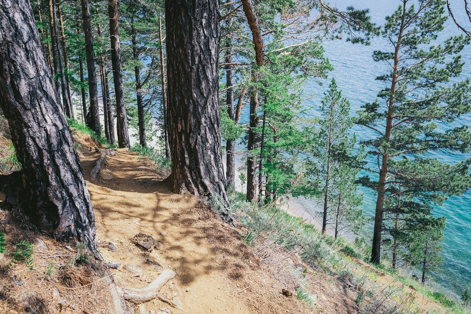 На маршруте Листвянка — Большие Коты. Источник: greatbaikaltrail.org