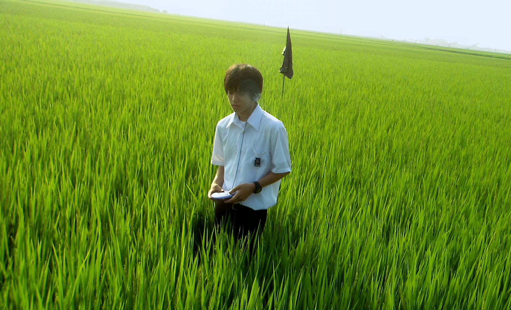 Все о Лили Чоу-Чоу