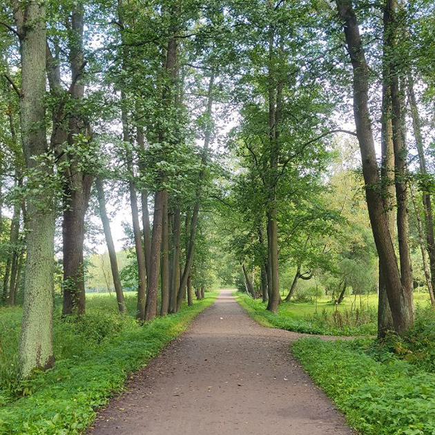 Иду на электричку через парк