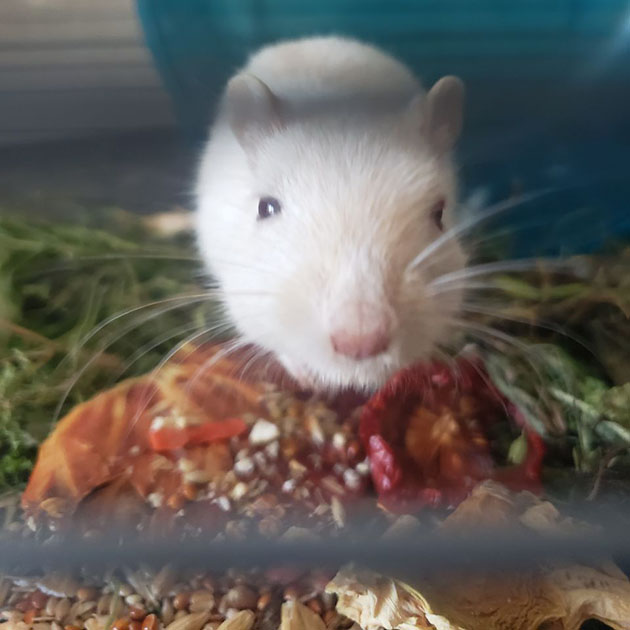 Провожает меня