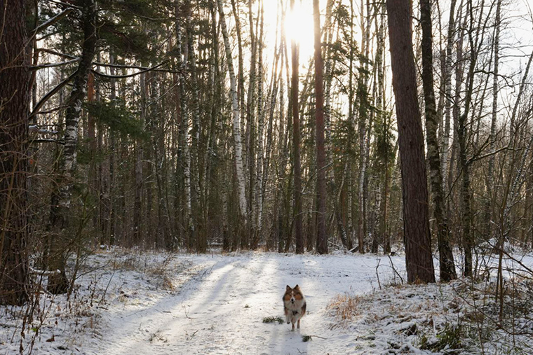 Уже начинает смеркаться