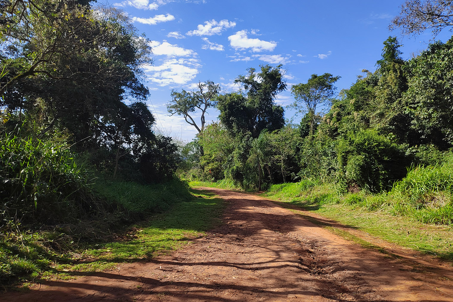 Путь к деревне гуарани