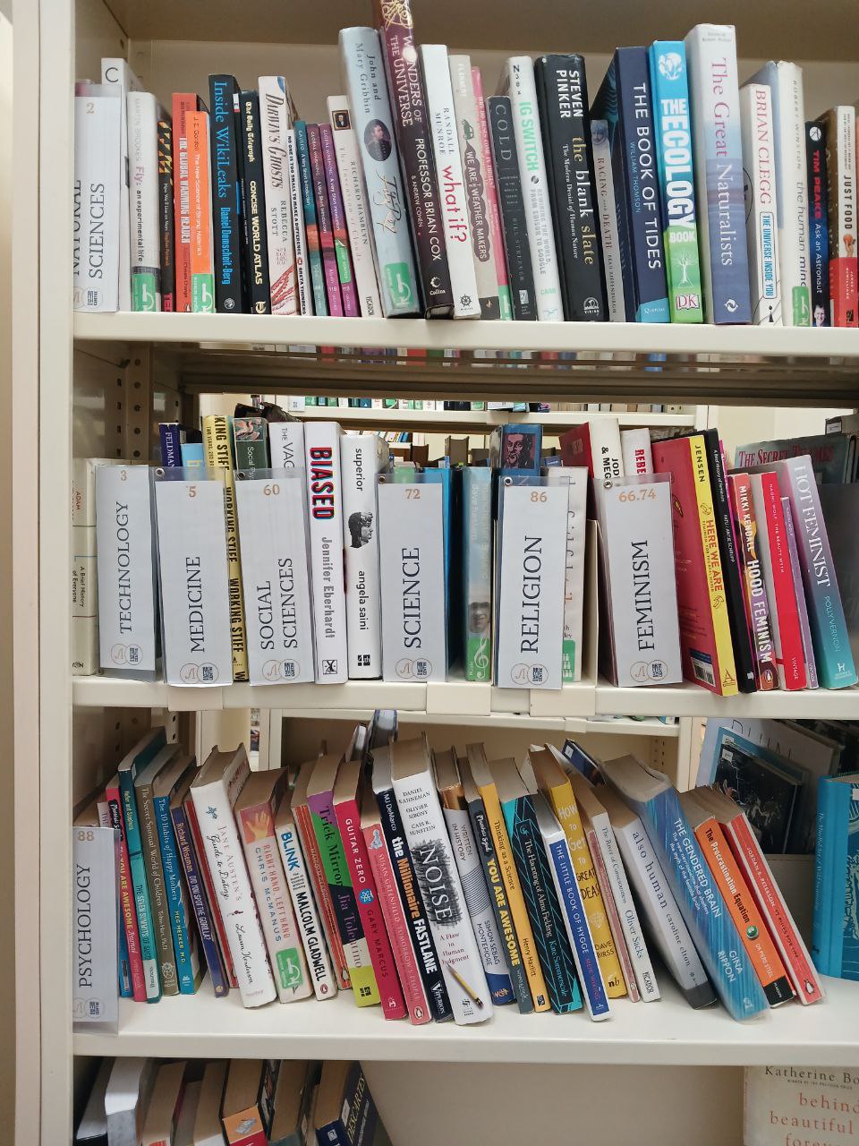 Рекомендую 3 библиотеки Санкт-Петербурга с разнообразием книг на английском языке