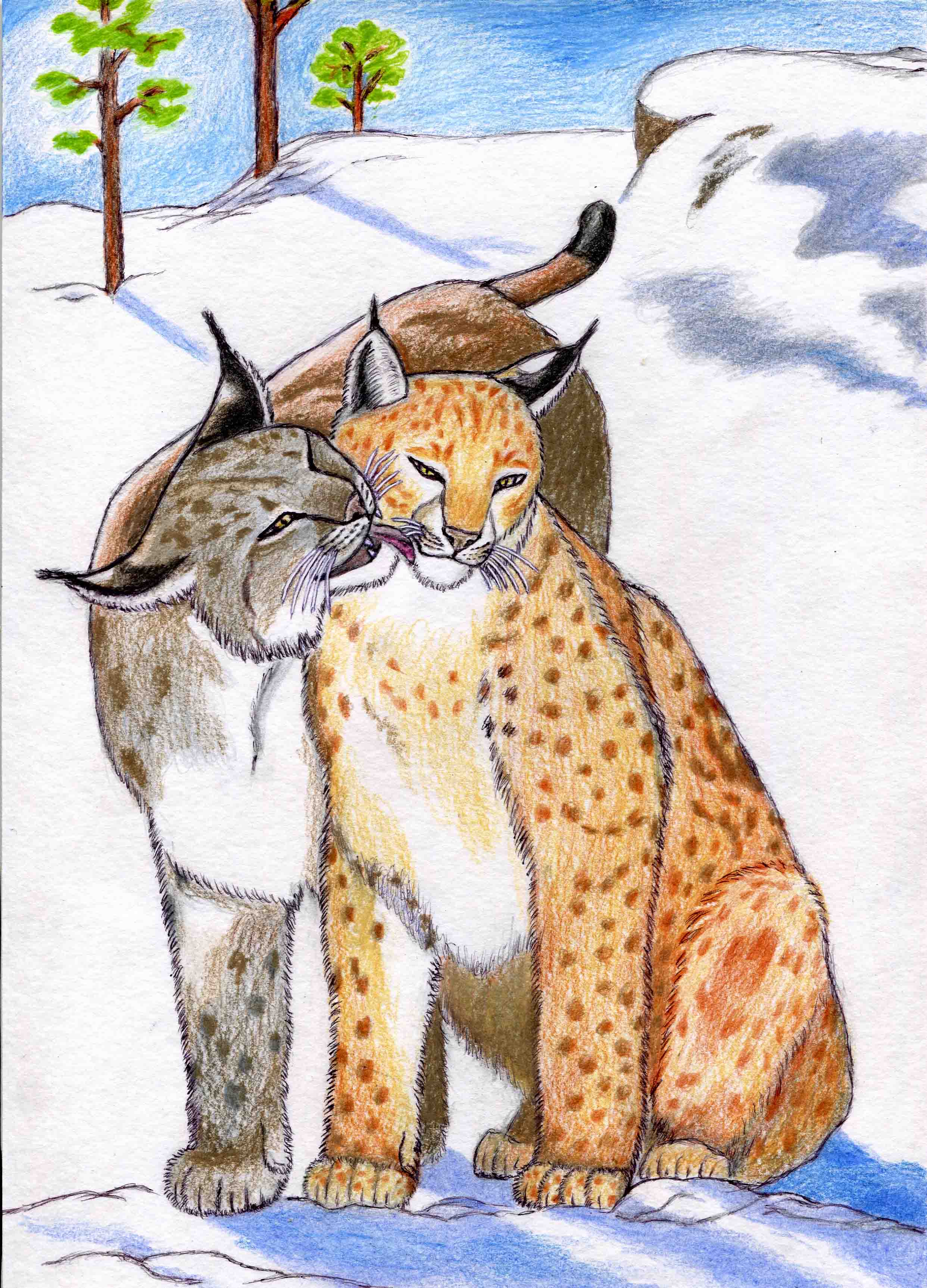 Мартовские рыси