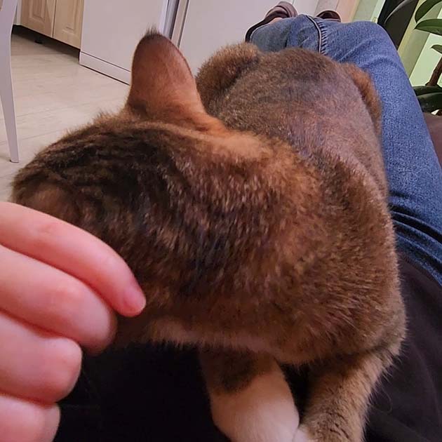 Лея редко бывает такой ласковой