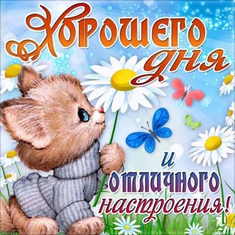 Ромашка