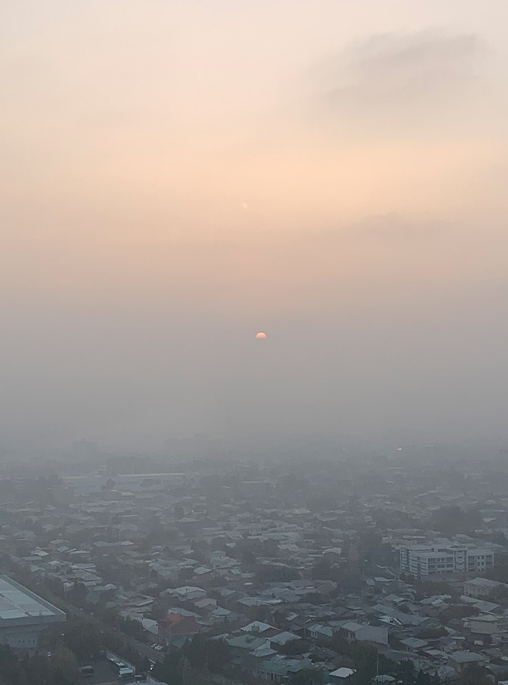 Туман укрывал ташкентские дома как хлопковое одеяло