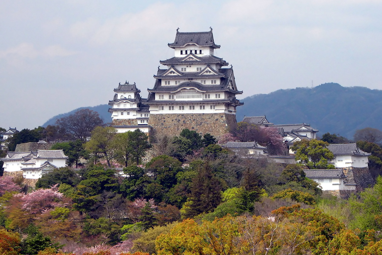 Замок Химэдзи: сакура только зацветает. Фотография: Bernard Gagnon / Wikipedia