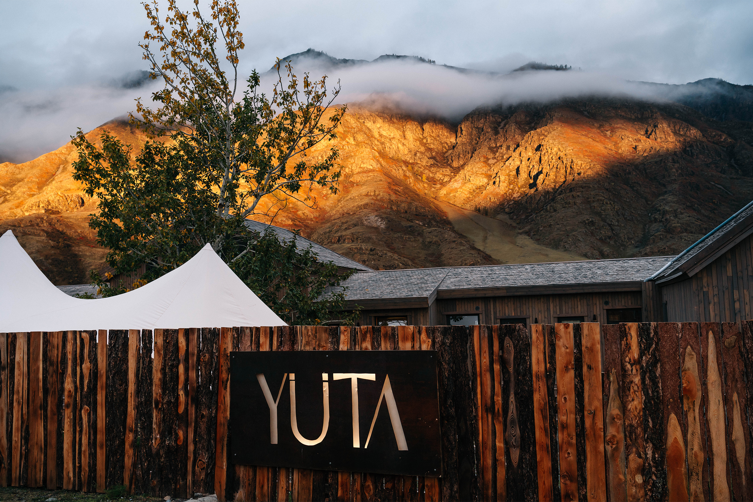 Со временем Яна тоже прониклась моей идеей