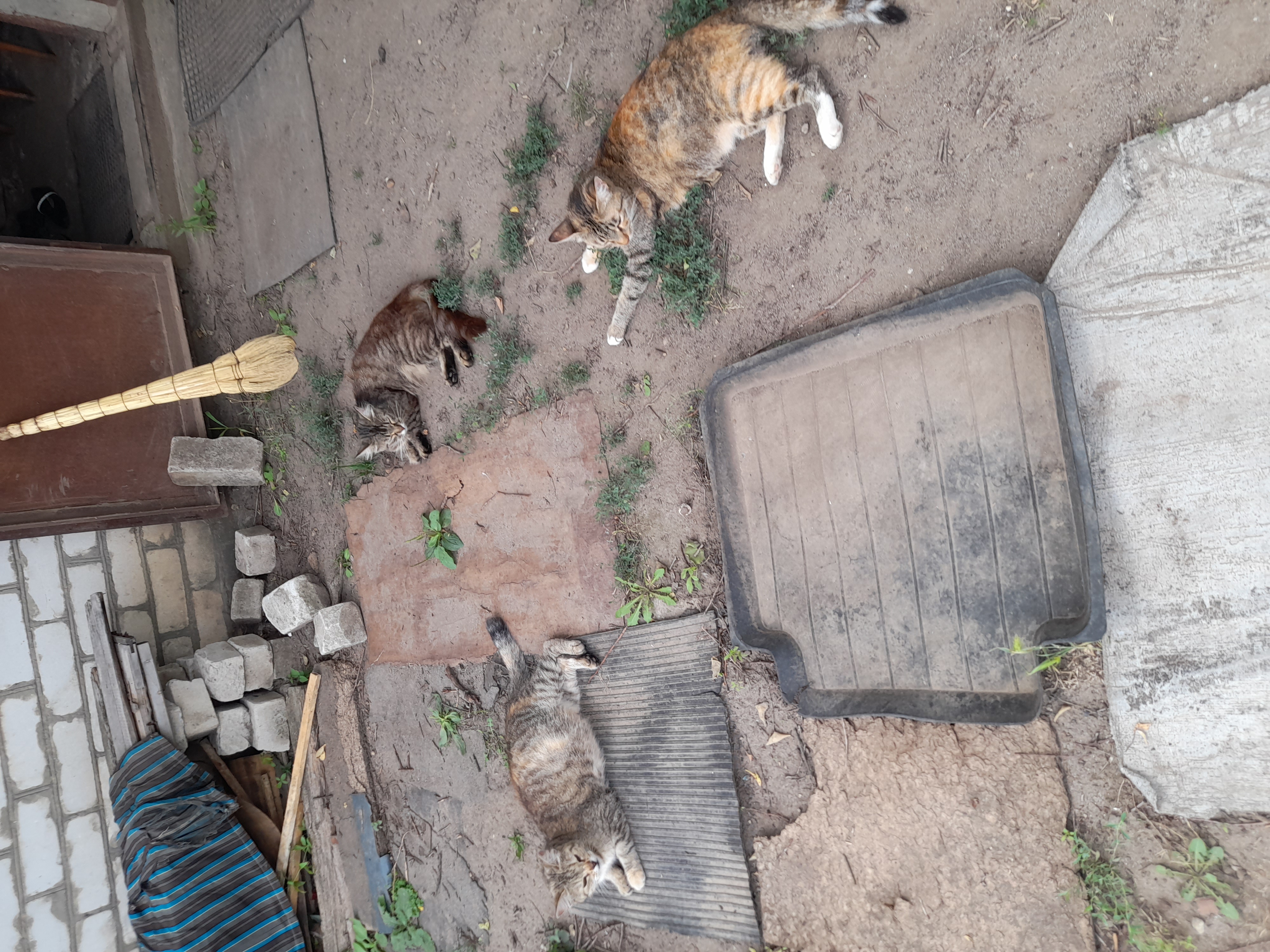 Фотографии года