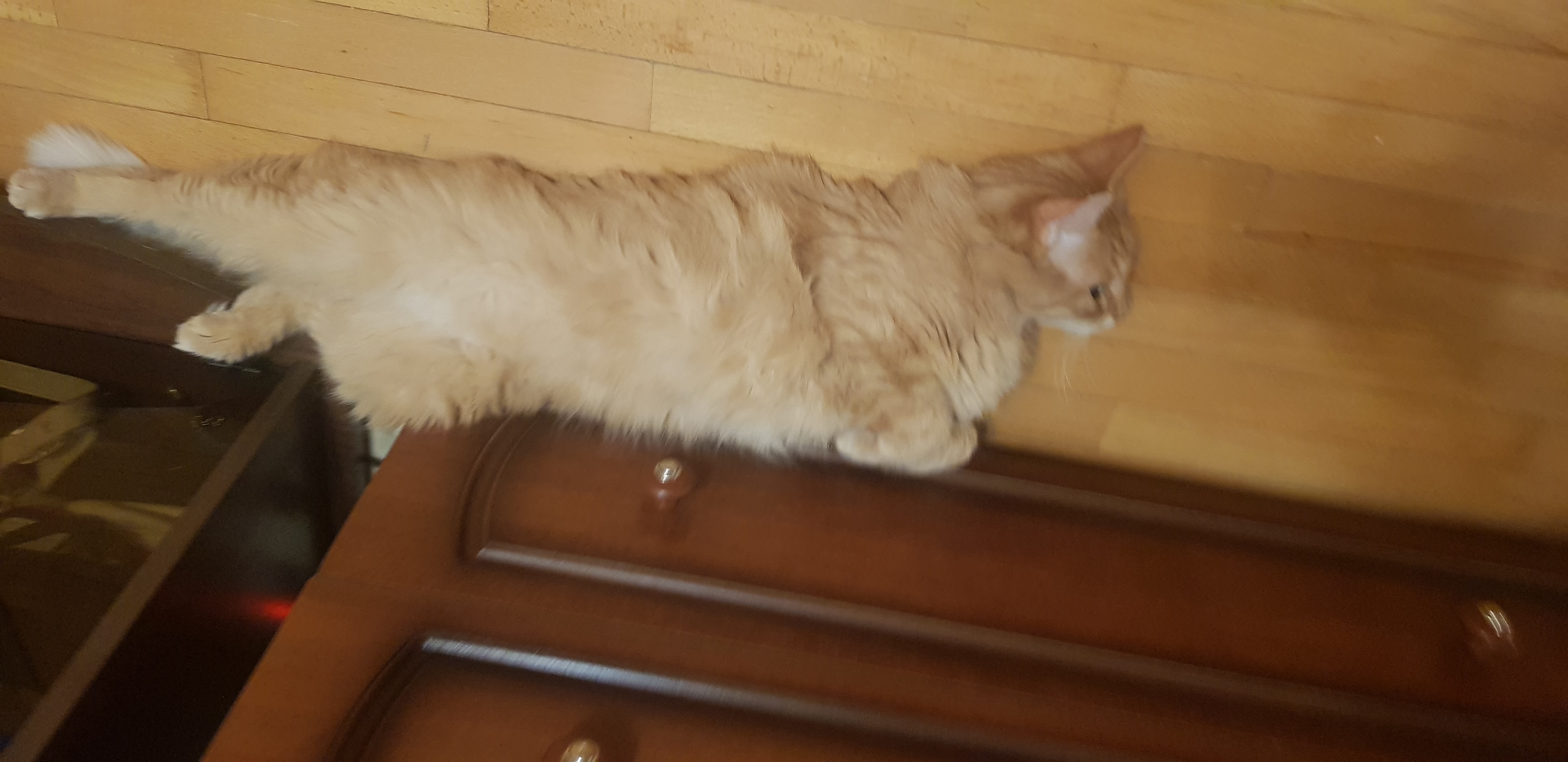 Любимая поза — вдоль комода