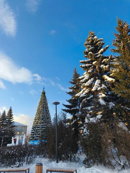 Светлана С. 