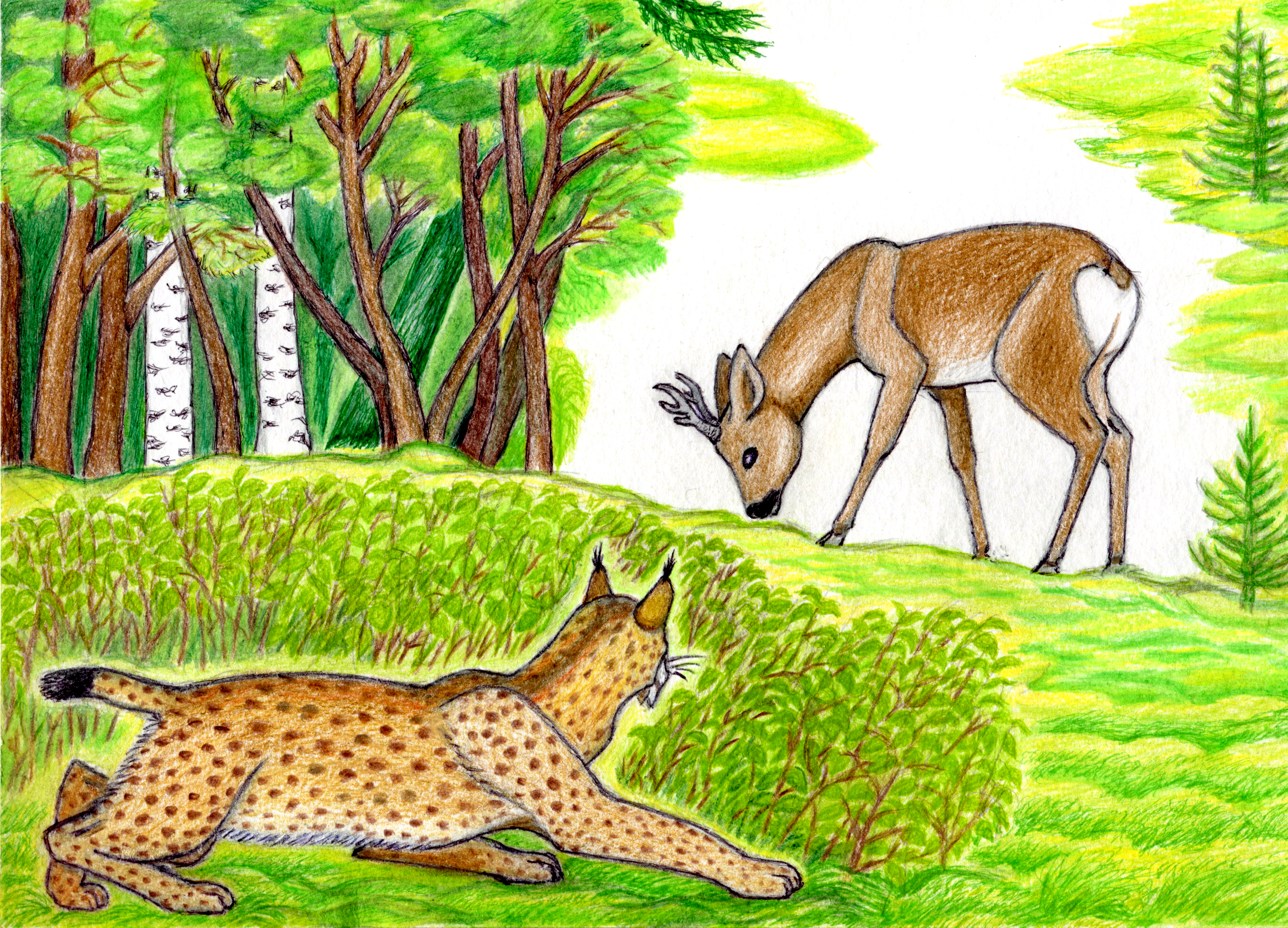 В лесной глуши