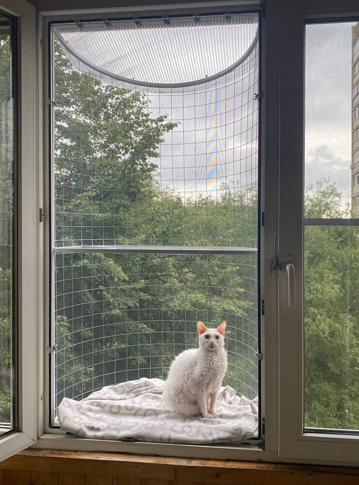 Балкон необычной формы выглядит симпатичнее стандартной сетки-антикошки. Источник: catskingdom.shop