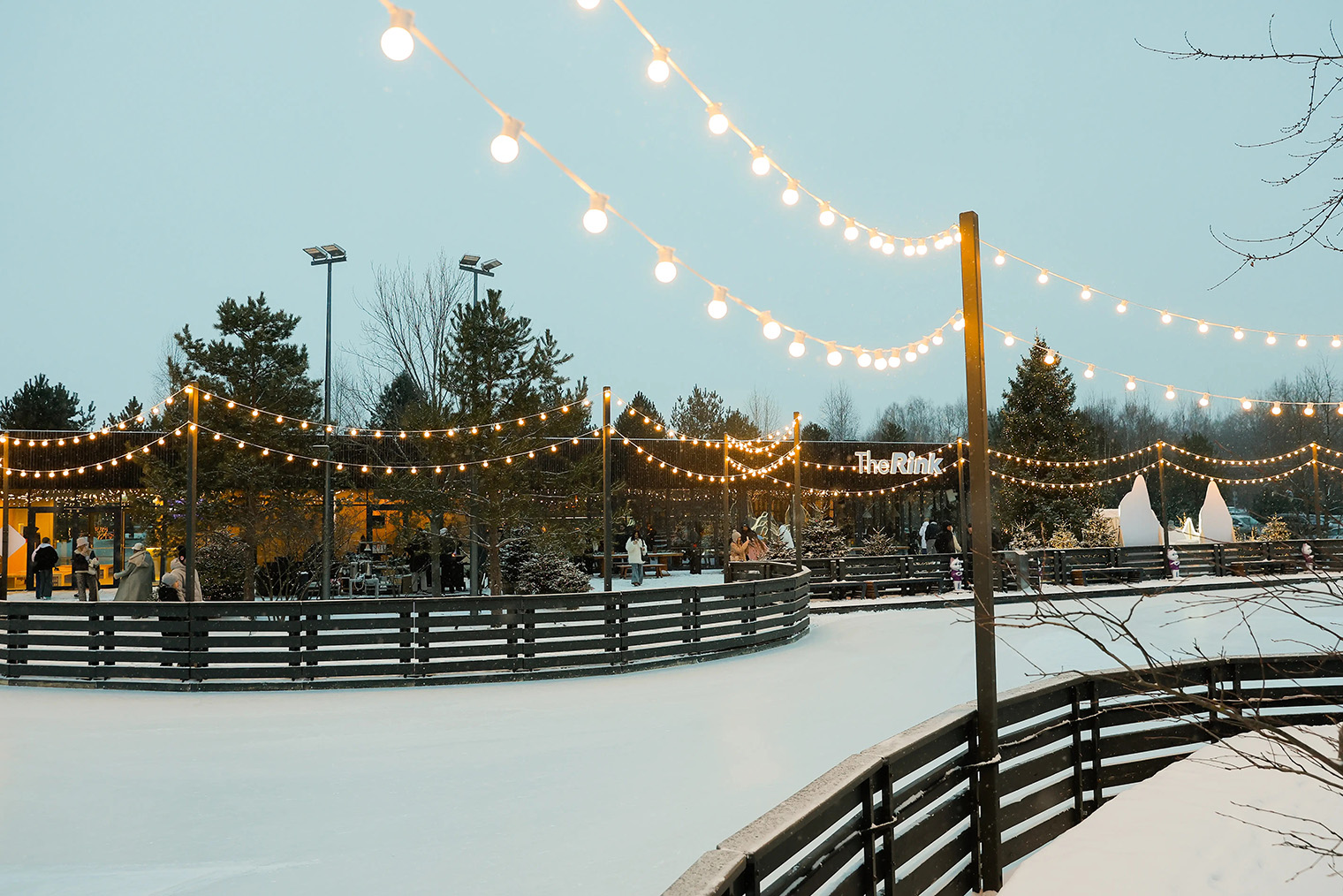 Источник: therink.ru