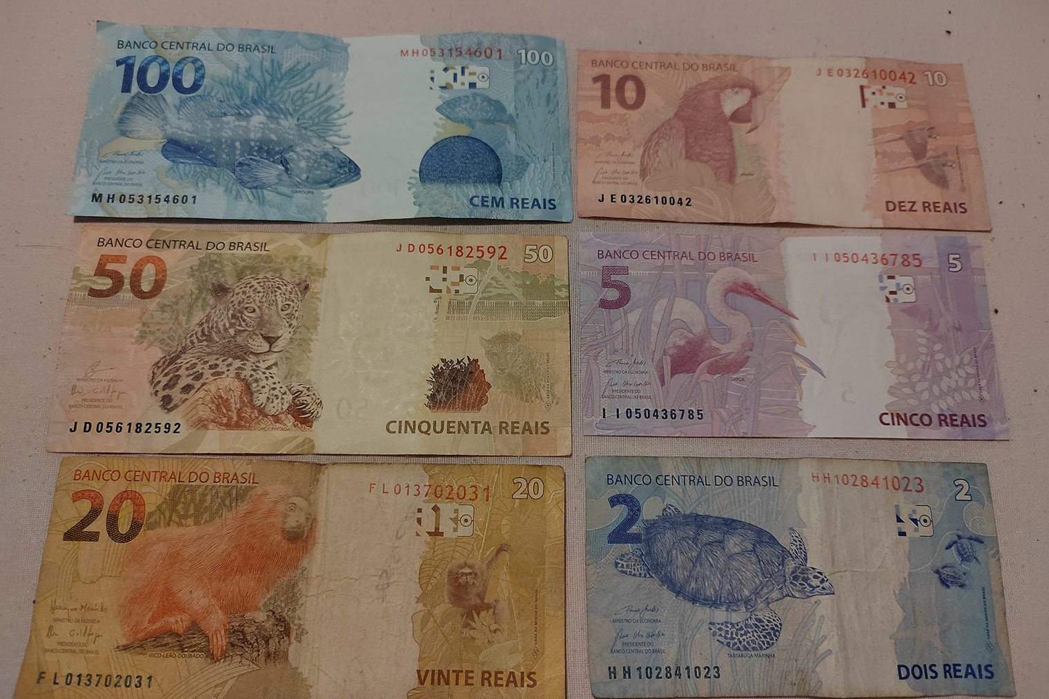 Валюту Бразилии любят коллекционеры