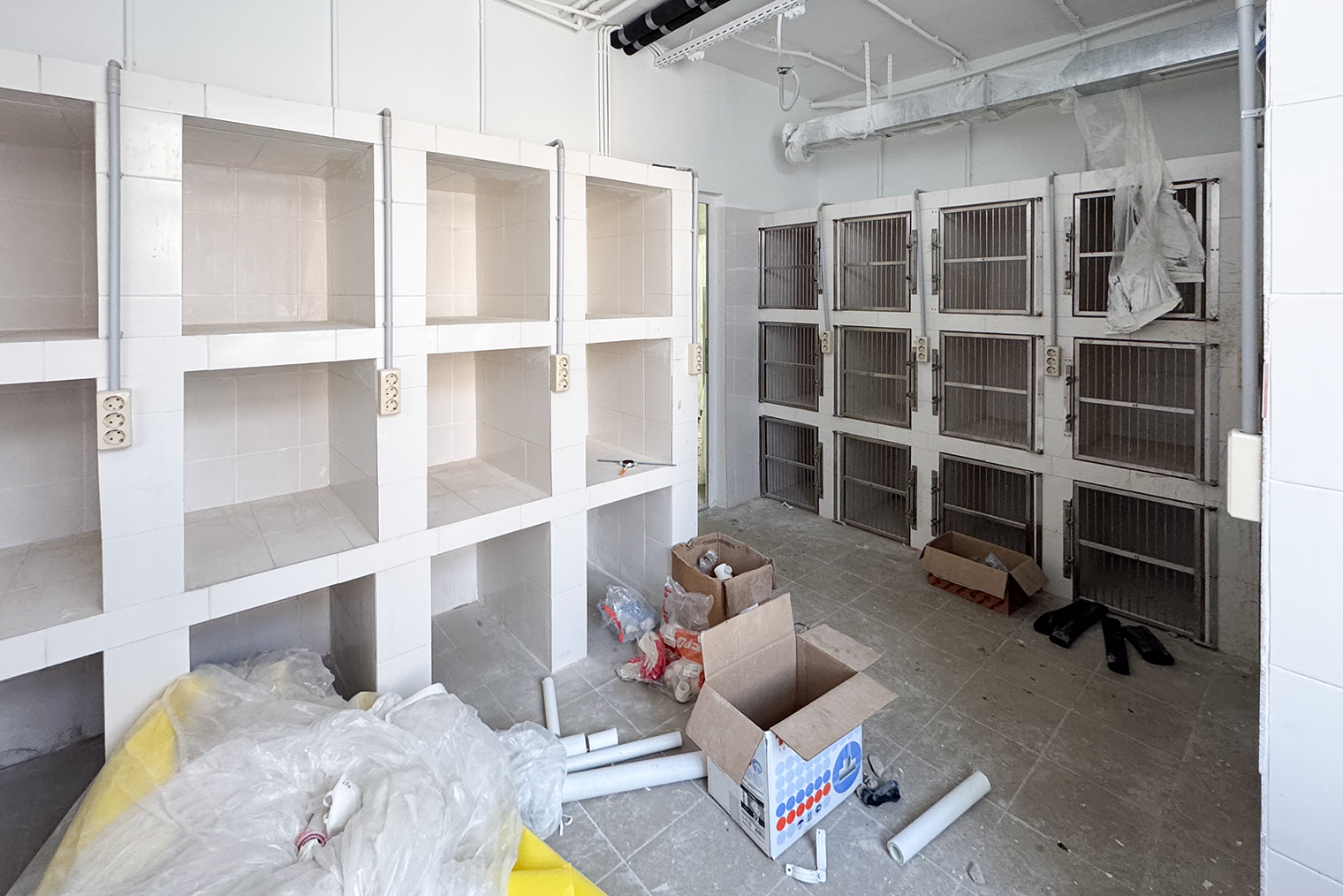 Послеоперационный блок для кошек, где они будут отходить от наркоза и получать послеоперационный уход в течение шести дней