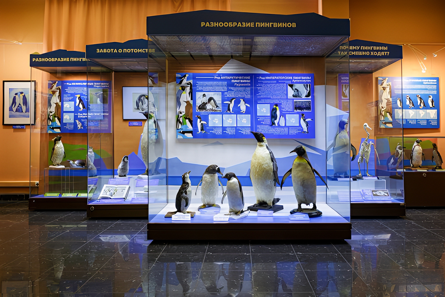 © Государственный Дарвиновский музей