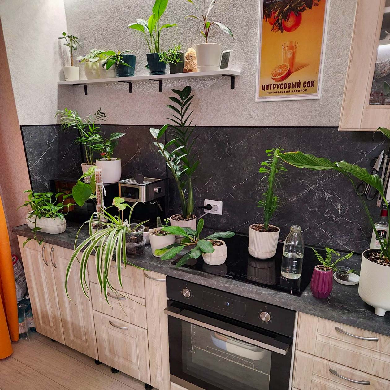 Занимаюсь цветами