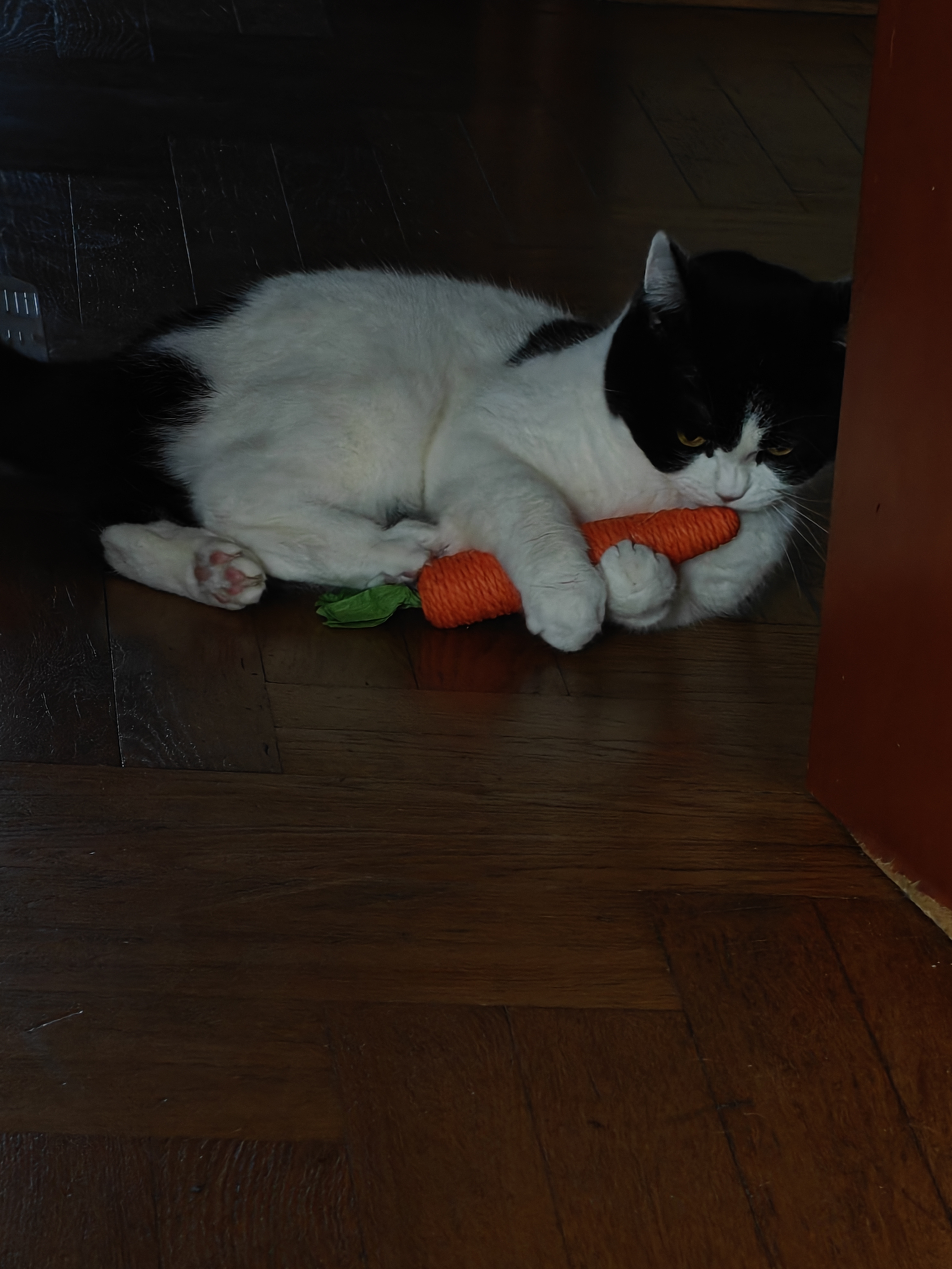 Удачная охота