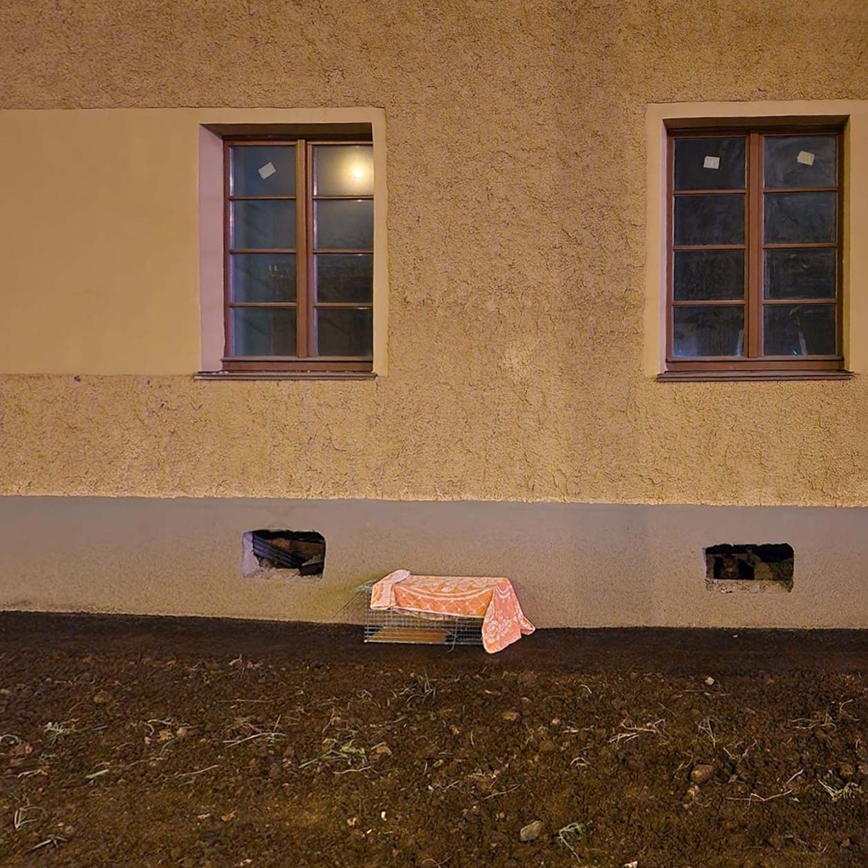 План с кошколовкой не сработал