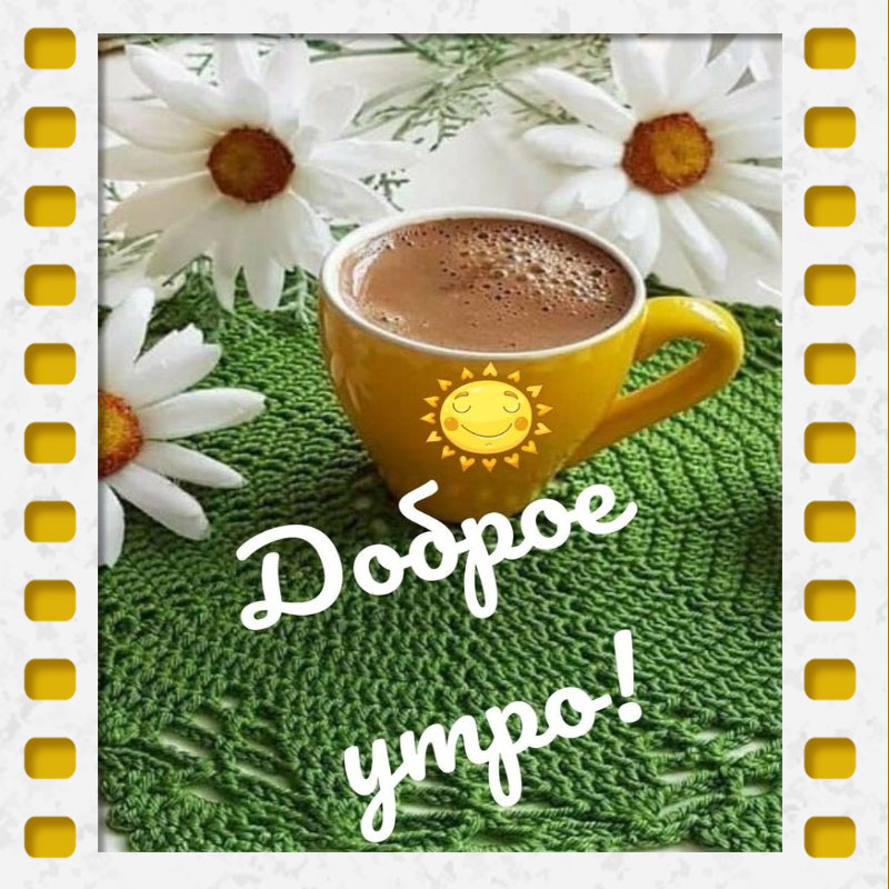Ромашки