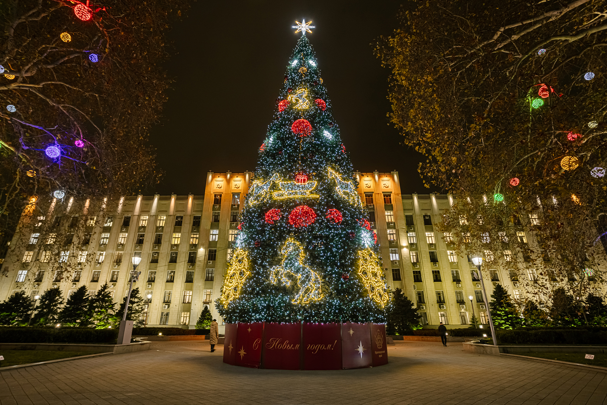 Возле краевой администрации ежегодно устанавливают елку и украшают соседние платаны. Вместо шаров на елке большие гирлянды в виде снежинок и символа года — лошадей