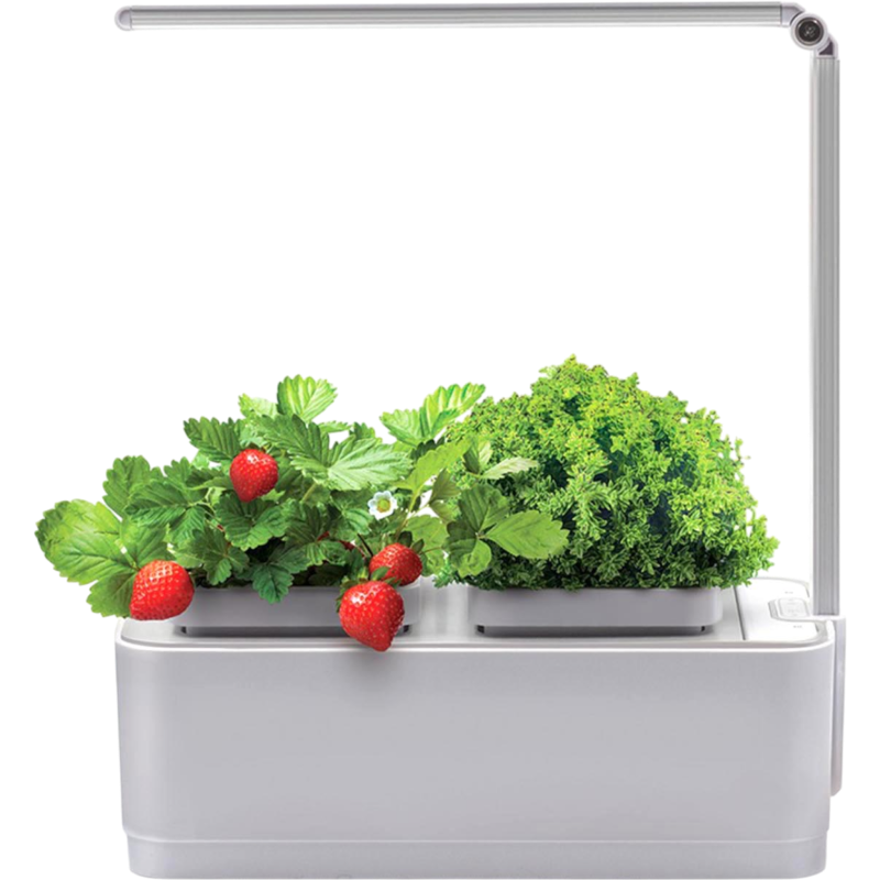 Умный горшок для зелени