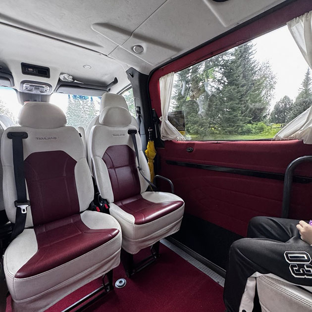 Едем на такси в лес