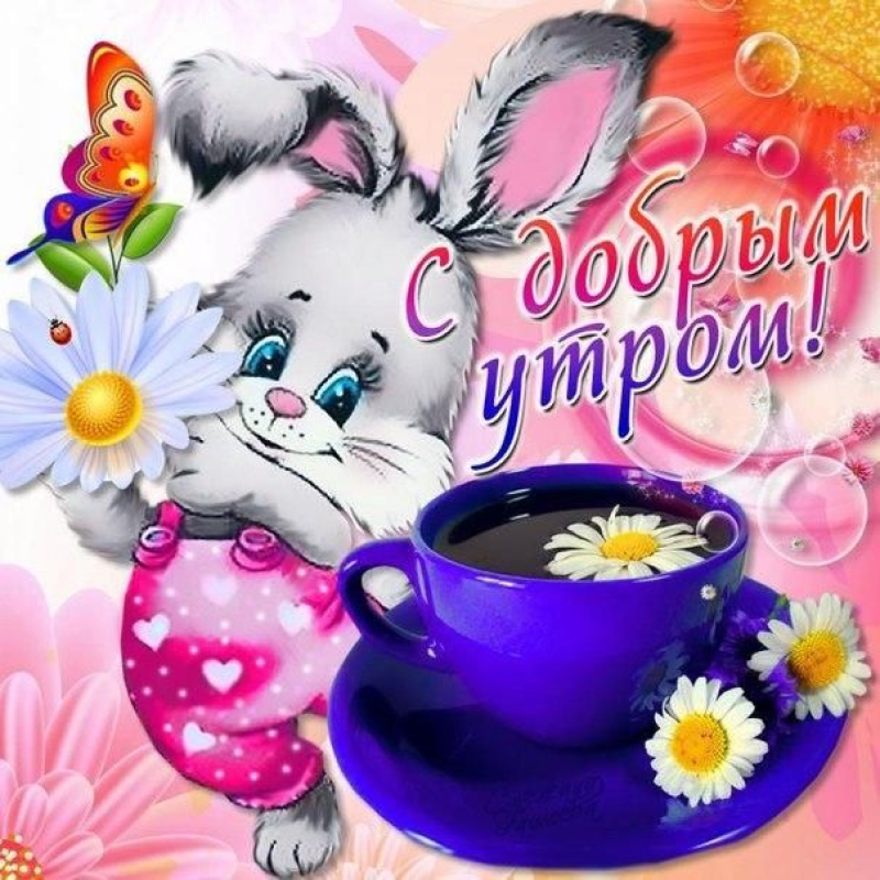 Заяц