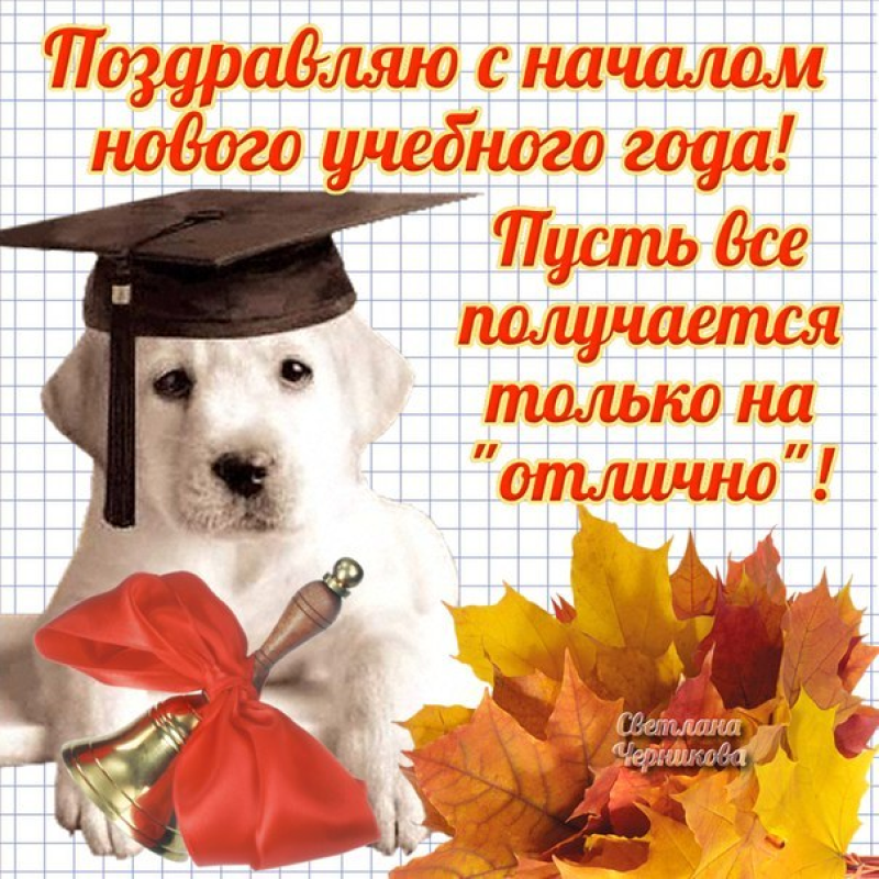 Щенок