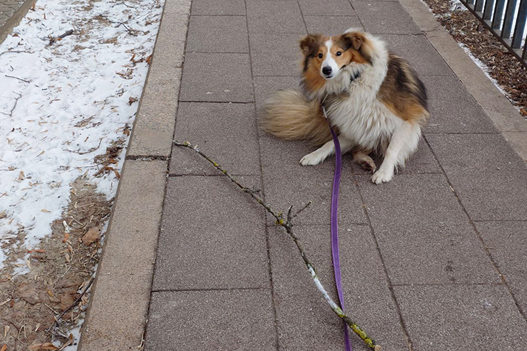 На прогулке