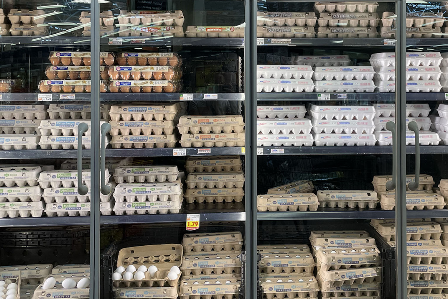 Самые дешевые яйца — белые от торговой марки супермаркета Kroger, а⁠-⁠ля «Красная цена». Американцы считают, что коричневые яйца полезнее белых