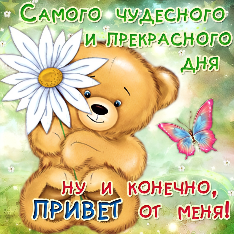 Мишка