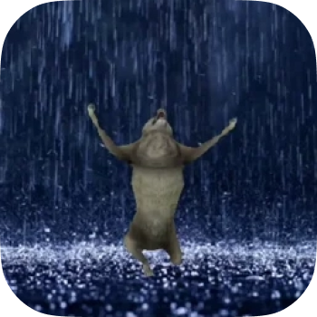 Драматичный волк